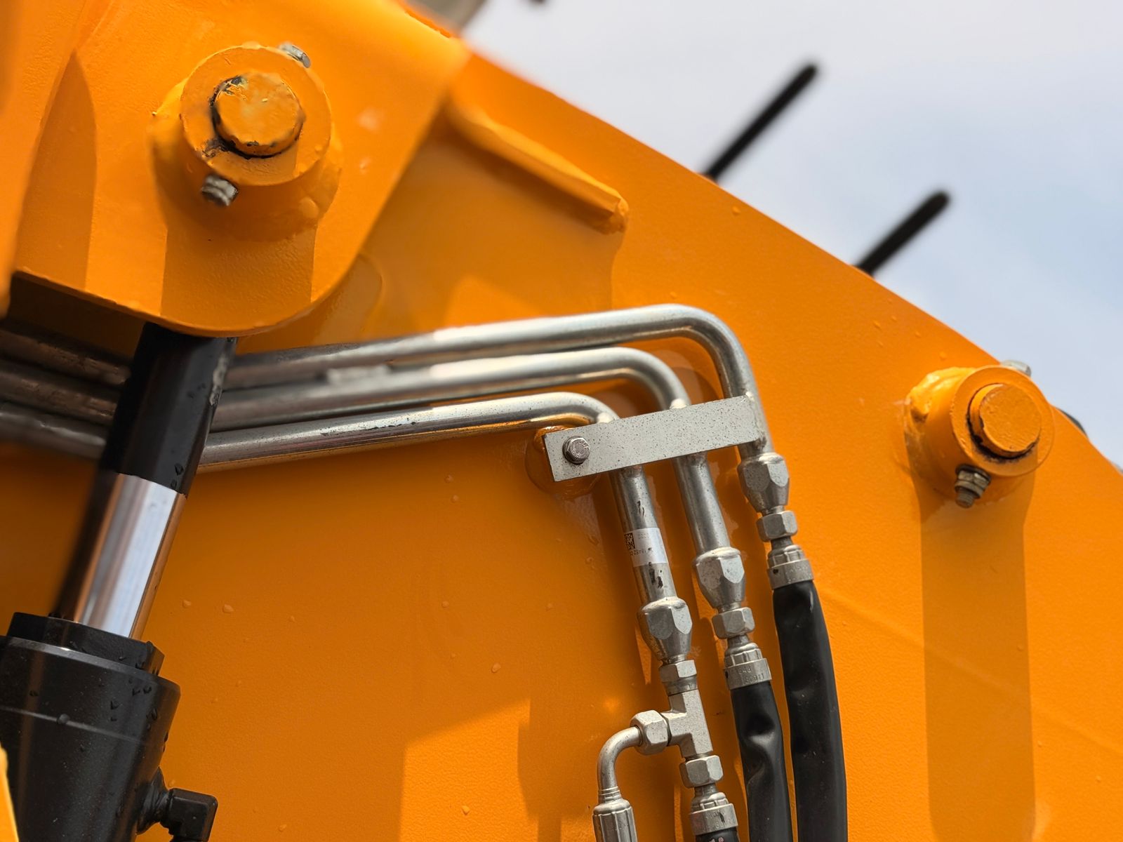 WhatsApp Image 2026-04-06 at 3.31.52 PM